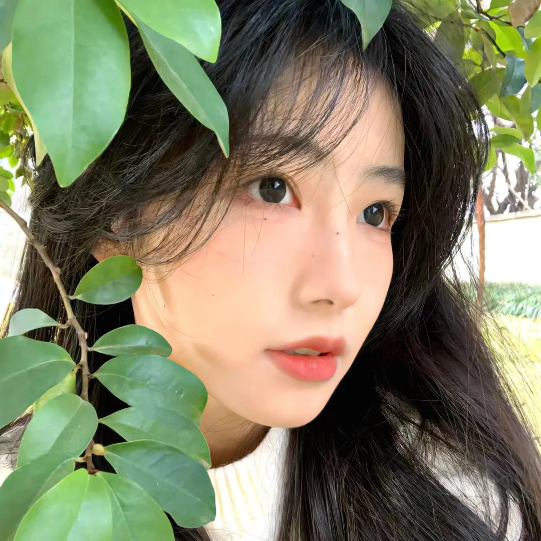 卿卿日常